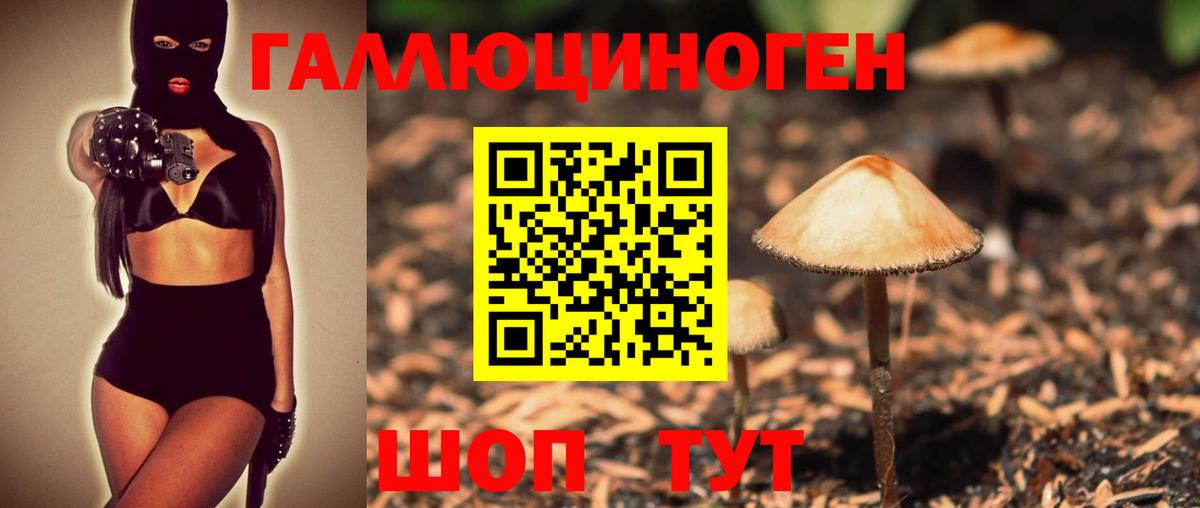 Галлюциногенные грибы мухоморы  Вход с VPN  Псилоцибиновые грибы Cubensis  Камышлов 